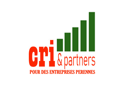 Consult Research Invest